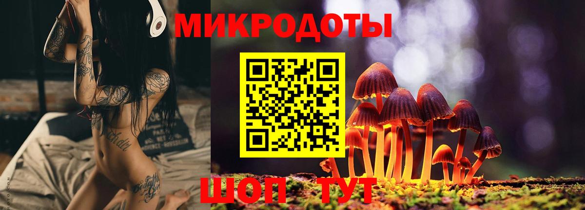 Кировск  Галлюциногенные грибы прущие грибы  Вход с VPN 