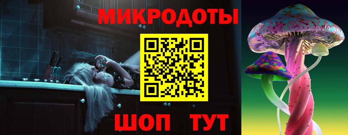 Псилоцибиновые грибы Psilocybine cubensis Кировск